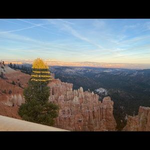 Meet your Posher, LaShae